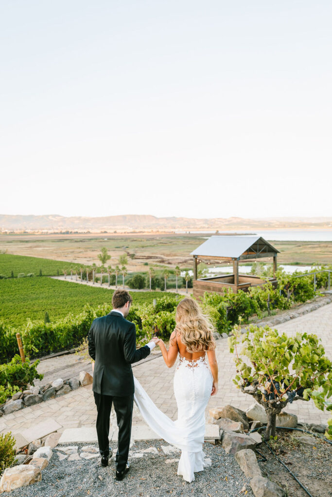 Bride and groom portraits from a modern retro Viansa Winery wedding in Sonoma